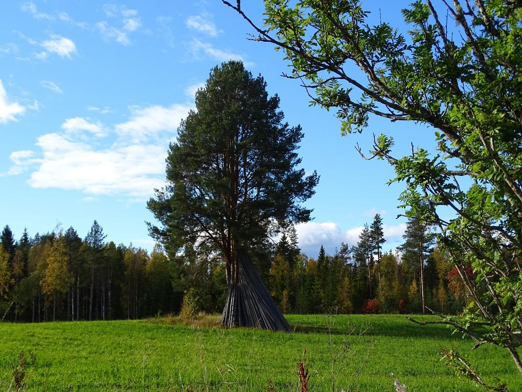 Viking Trails Outdoor & Accommodations Rattvik Exterior photo